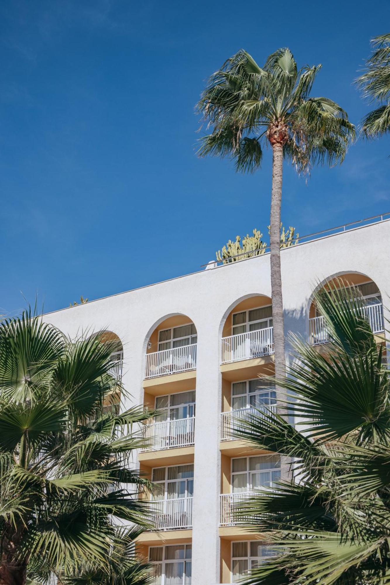 Hotel Melia Banús 5*
